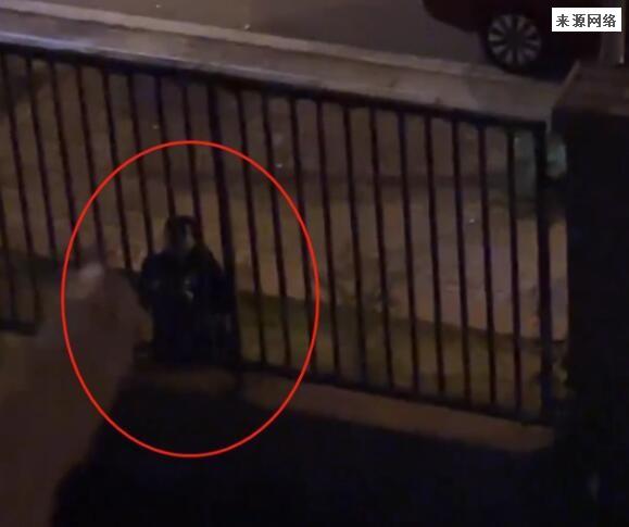 重庆两男子深夜追赶一女子 追赶原因曝光