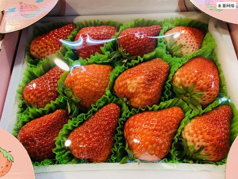 草莓上市部分品种近200元一斤 价格太贵你会买吗？