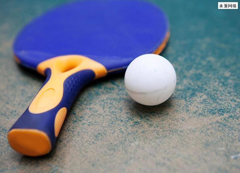 孙铭阳是哪个省的人 孙铭阳是莎莎的陪练吗