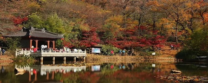 栖霞山多高