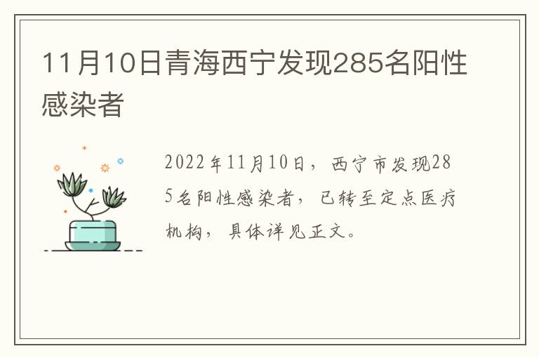 11月10日青海西宁发现285名阳性感染者