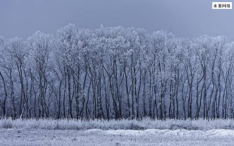 今年下半年首个暴雪预警发布 9省市将现大雾天气