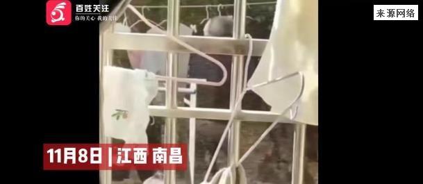 可怕 白发男子偷高校女生内衣裤校保卫处：警方已介入