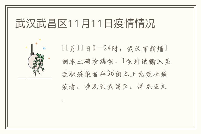 武汉武昌区11月11日疫情情况