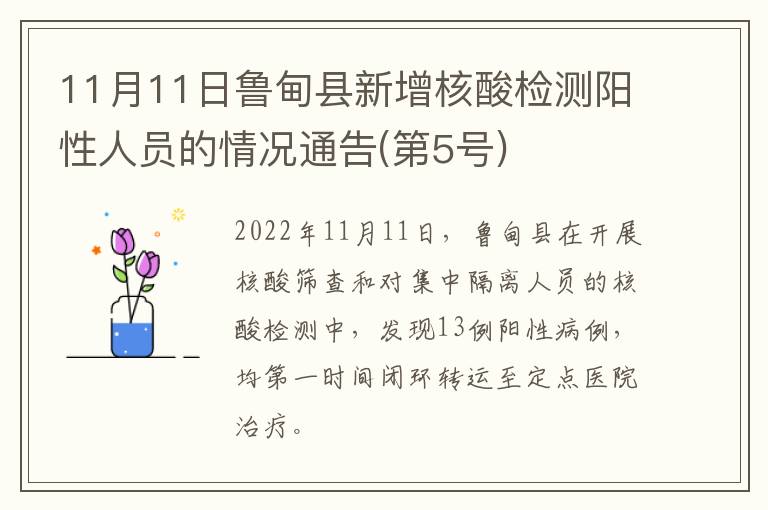 11月11日鲁甸县新增核酸检测阳性人员的情况通告(第5号)​