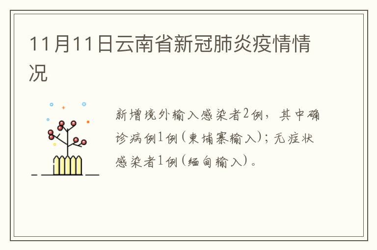 11月11日云南省新冠肺炎疫情情况