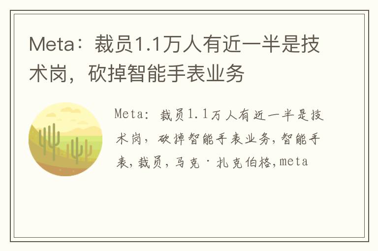 Meta：裁员1.1万人有近一半是技术岗，砍掉智能手表业务