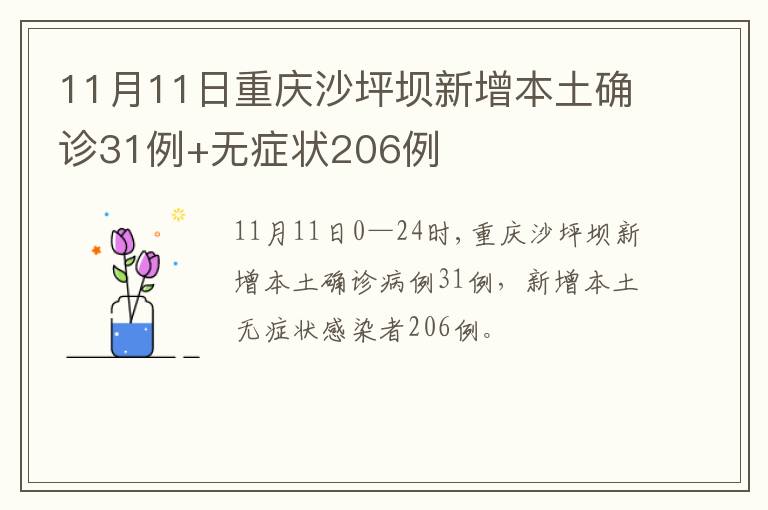 11月11日重庆沙坪坝新增本土确诊31例+无症状206例