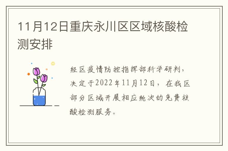 11月12日重庆永川区区域核酸检测安排