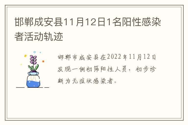 邯郸成安县11月12日1名阳性感染者活动轨迹
