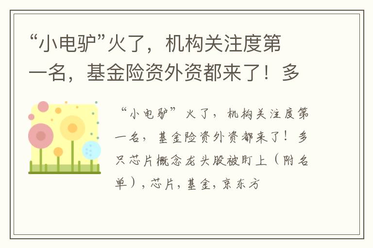 “小电驴”火了，机构关注度第一名，基金险资外资都来了！多只芯片概念龙头股被盯上（附名单）