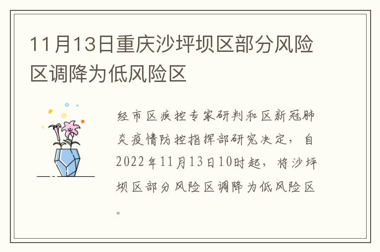 11月13日重庆沙坪坝区部分风险区调降为低风险区