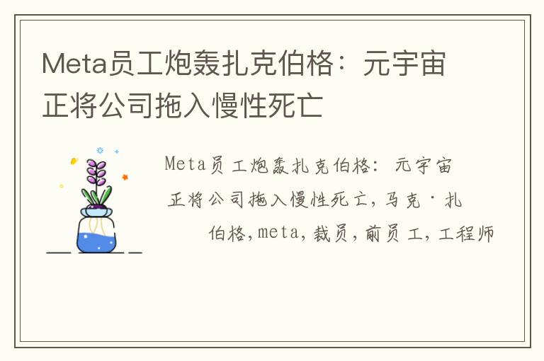 Meta员工炮轰扎克伯格：元宇宙正将公司拖入慢性死亡