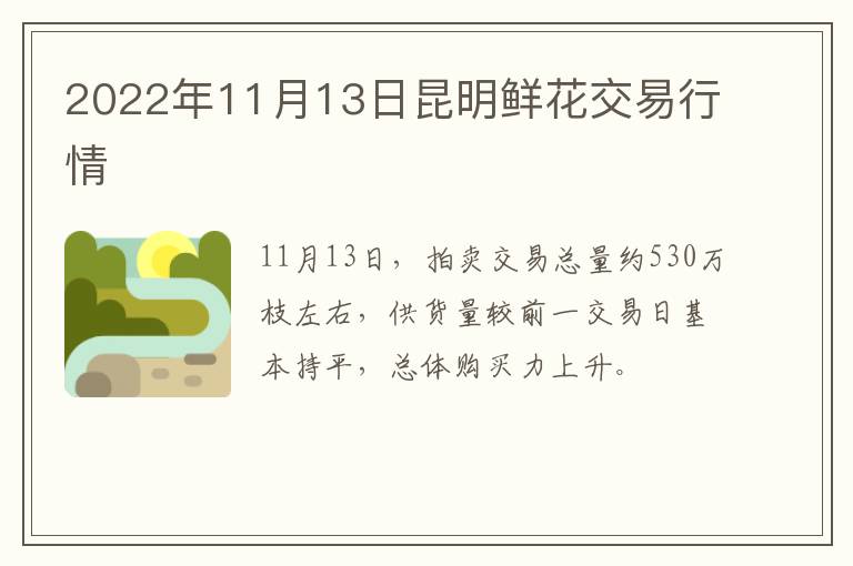 2022年11月13日昆明鲜花交易行情