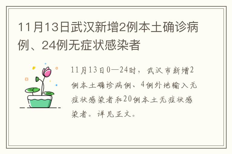 11月13日武汉新增2例本土确诊病例、24例无症状感染者