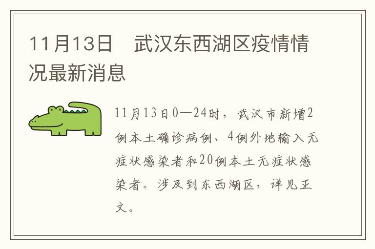 11月13日​武汉东西湖区疫情情况最新消息