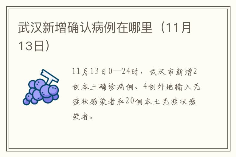 武汉新增确认病例在哪里（11月13日）