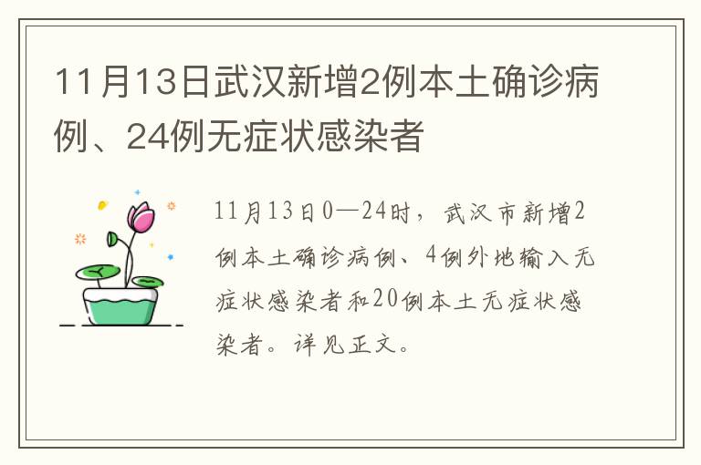 11月13日武汉新增2例本土确诊病例、24例无症状感染者