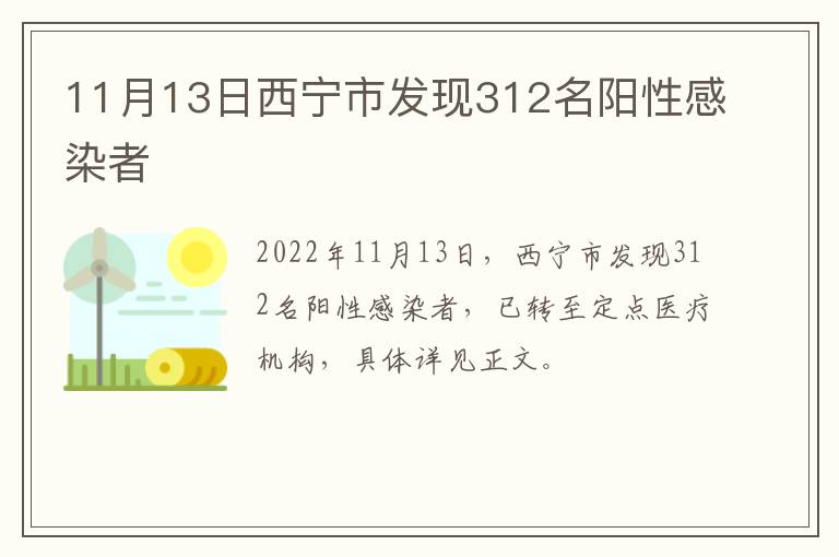 11月13日西宁市发现312名阳性感染者