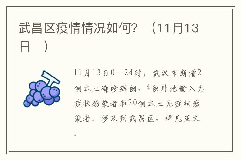 武昌区疫情情况如何？（11月13日​）