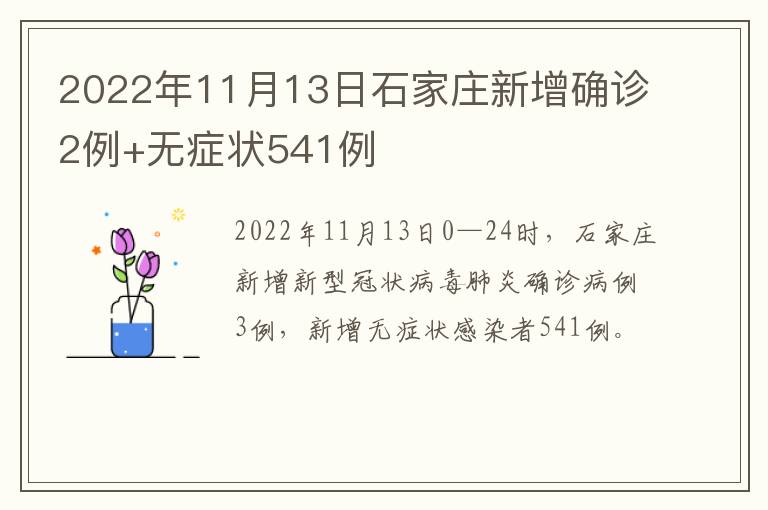 2022年11月13日石家庄新增确诊2例+无症状541例