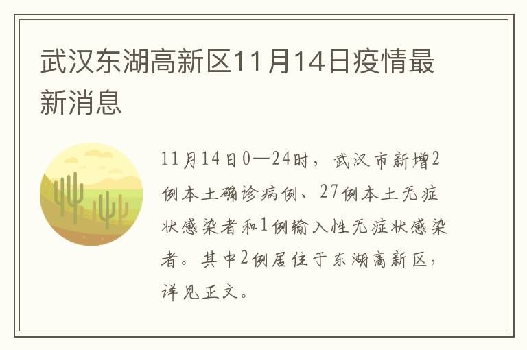武汉东湖高新区11月14日疫情最新消息