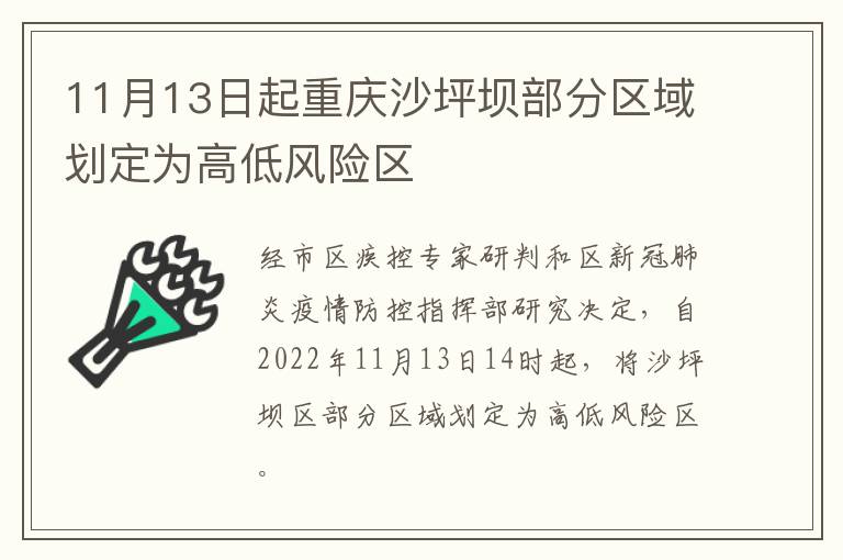 11月13日起重庆沙坪坝部分区域划定为高低风险区