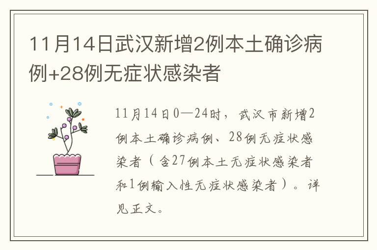 11月14日武汉新增2例本土确诊病例+28例无症状感染者