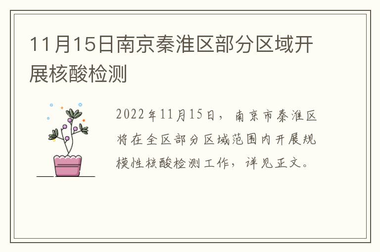 11月15日南京秦淮区部分区域开展核酸检测