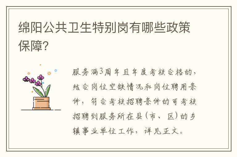 绵阳公共卫生特别岗有哪些政策保障？