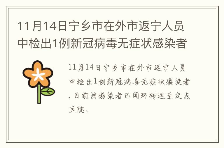 11月14日宁乡市在外市返宁人员中检出1例新冠病毒无症状感染者