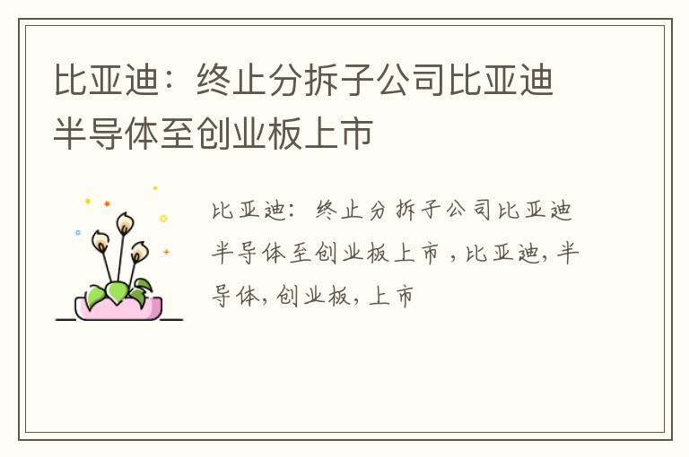比亚迪：终止分拆子公司比亚迪半导体至创业板上市