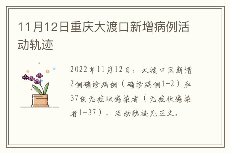 11月12日重庆大渡口新增病例活动轨迹