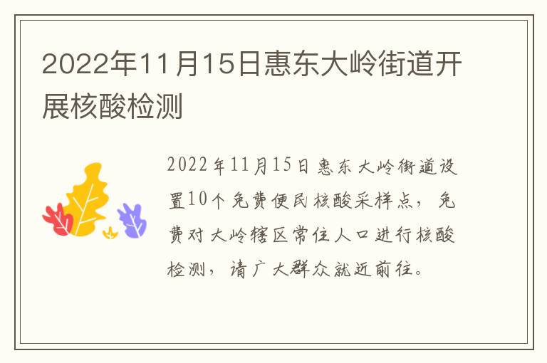 2022年11月15日惠东大岭街道开展核酸检测