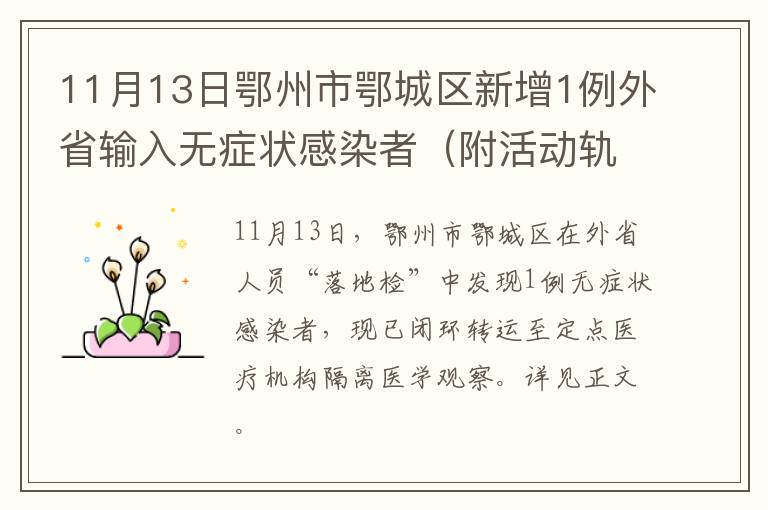 11月13日鄂州市鄂城区新增1例外省输入无症状感染者（附活动轨迹）