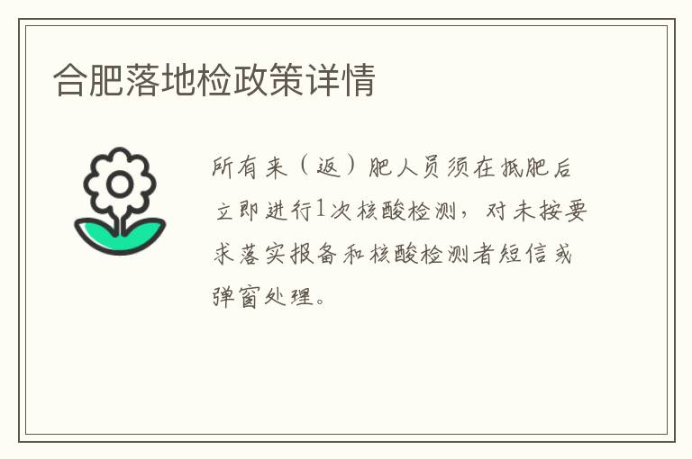 合肥落地检政策详情