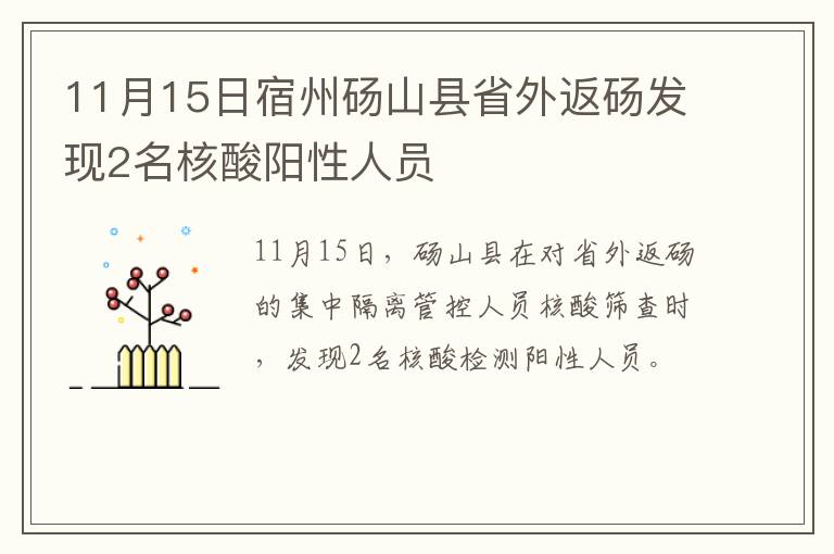 11月15日宿州砀山县省外返砀发现2名核酸阳性人员