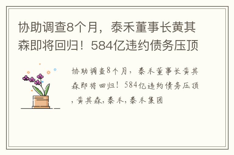 协助调查8个月，泰禾董事长黄其森即将回归！584亿违约债务压顶