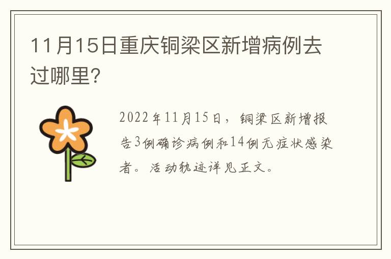 11月15日重庆铜梁区新增病例去过哪里？