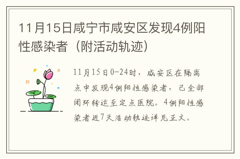 11月15日咸宁市咸安区发现4例阳性感染者（附活动轨迹）