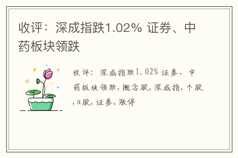 收评：深成指跌1.02% 证券、中药板块领跌