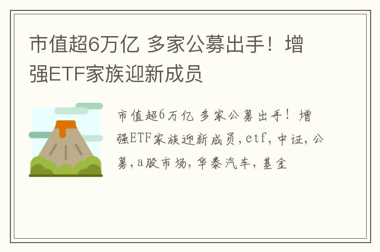 市值超6万亿 多家公募出手！增强ETF家族迎新成员