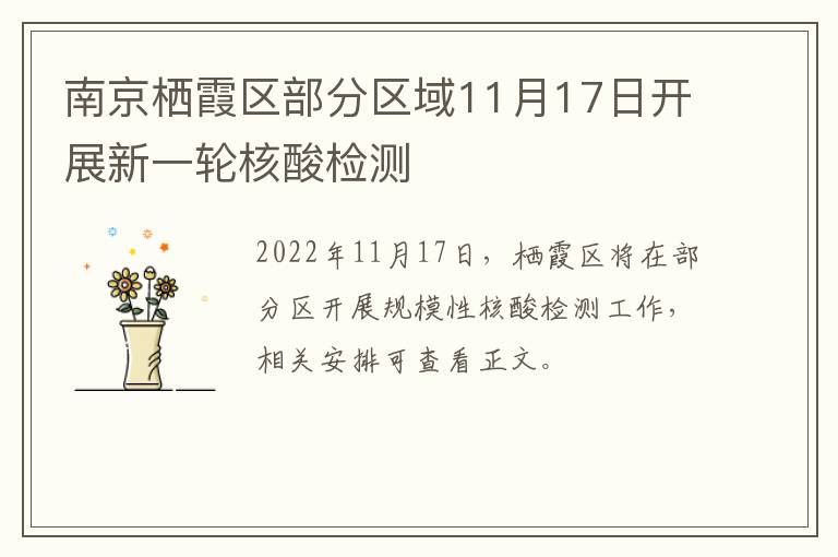 南京栖霞区部分区域11月17日开展新一轮核酸检测