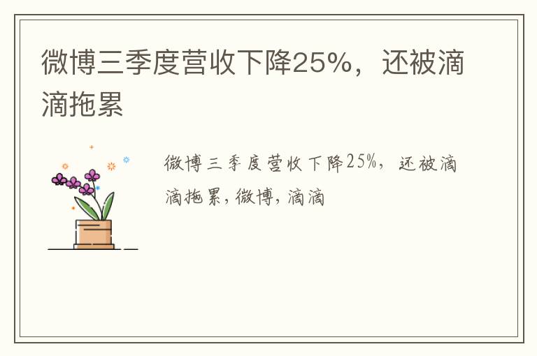 微博三季度营收下降25%，还被滴滴拖累