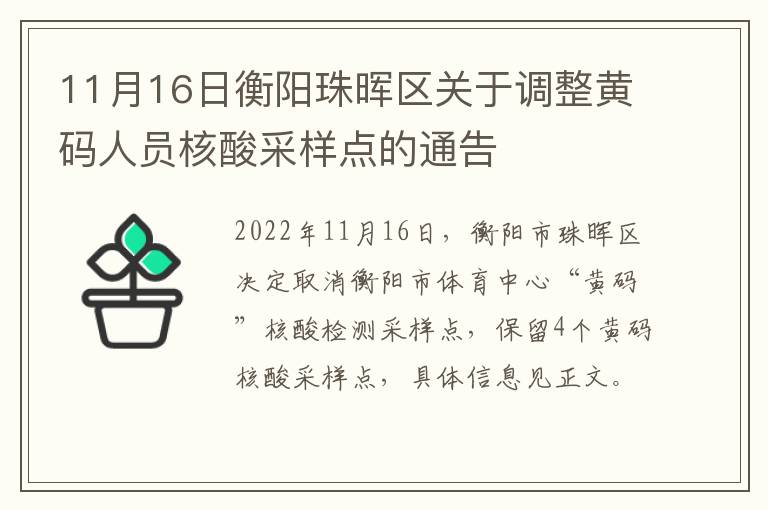 11月16日衡阳珠晖区关于调整黄码人员核酸采样点的通告