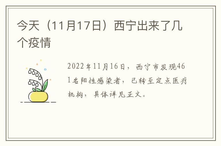 今天（11月17日）西宁出来了几个疫情