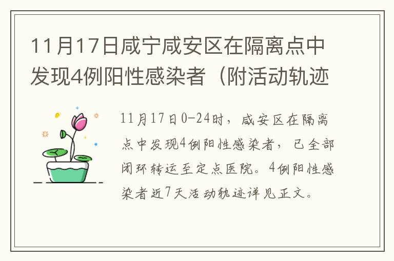 11月17日咸宁咸安区在隔离点中发现4例阳性感染者（附活动轨迹）