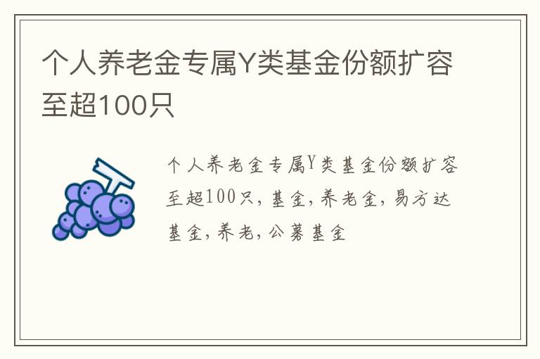 个人养老金专属Y类基金份额扩容至超100只