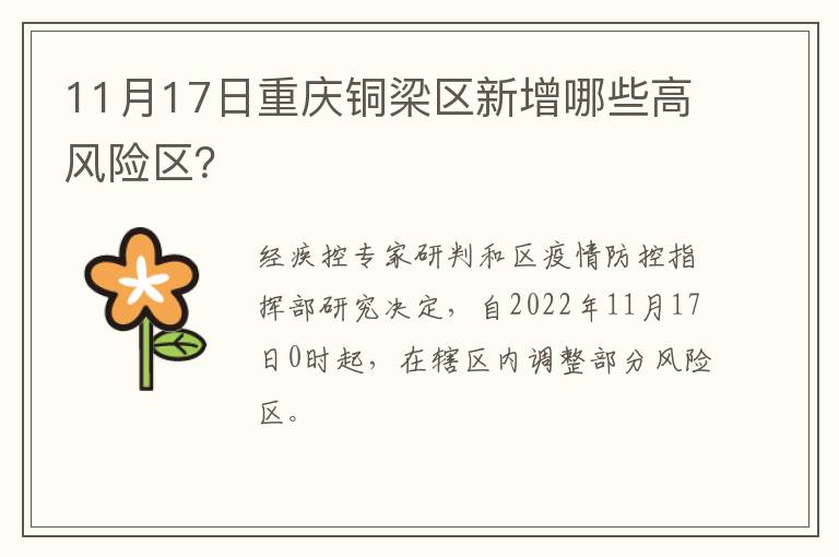 11月17日重庆铜梁区新增哪些高风险区？