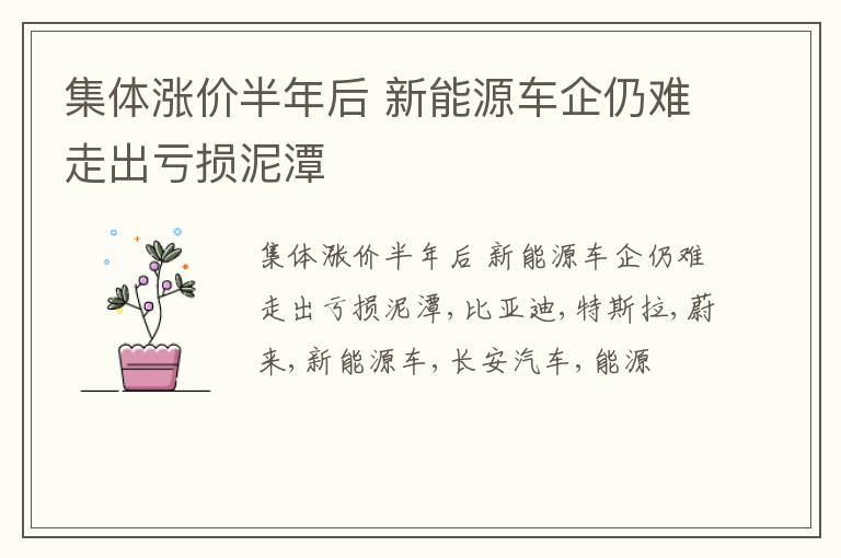 集体涨价半年后 新能源车企仍难走出亏损泥潭